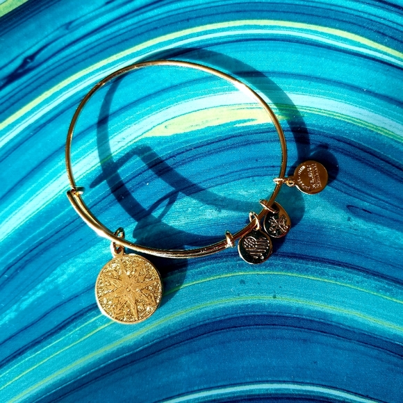 Alex and Ani, Healing Love, Sparkling, Charm Bracelet - Picture 6 of 7